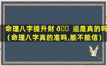 命理八字提升财 🐠 运是真的吗（命理八字真的准吗,能不能信）